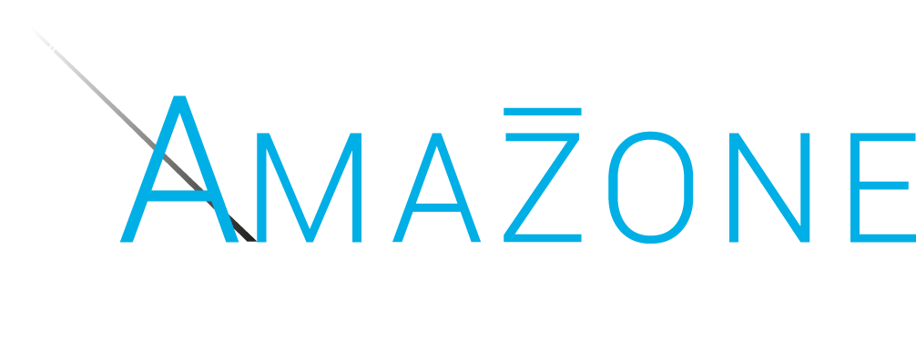 Amazone Consulting - Agence immobilière à Toulouse et Gestion de Patrimoine