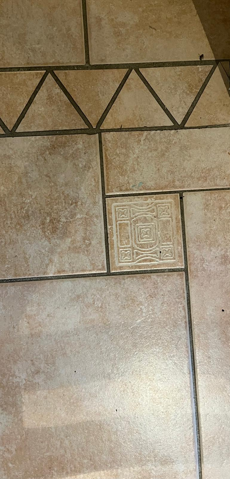 Vacquiers,31340,3 Bedrooms Bedrooms,5 Rooms Rooms,1 la Salle de bainBathrooms,Maison,1008