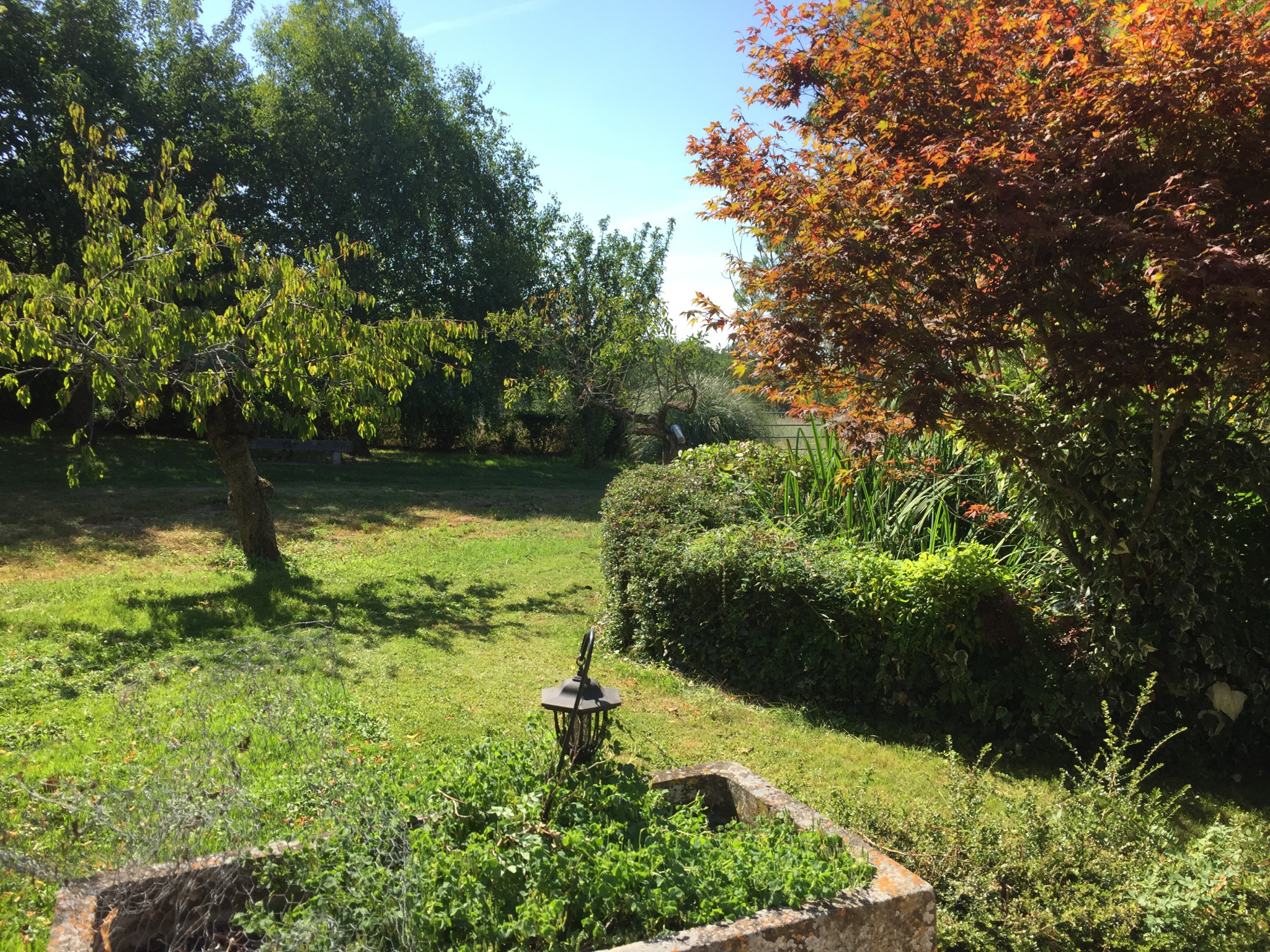 Toulouse,31000,5 Bedrooms Bedrooms,9 Rooms Rooms,1 la Salle de bainBathrooms,Propriété,1000