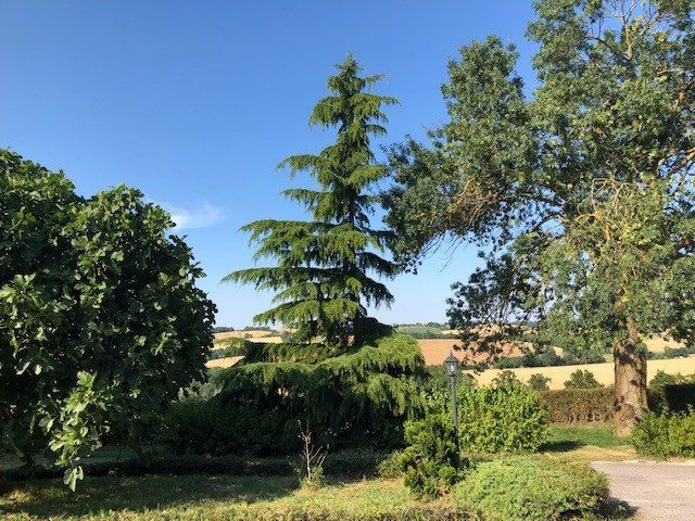 Toulouse,31000,5 Bedrooms Bedrooms,9 Rooms Rooms,1 la Salle de bainBathrooms,Propriété,1000