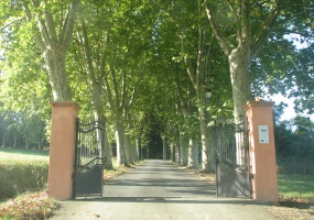 St cezert, 31330, 3 Chambres Chambres, 4 Chambres Chambres,1 Salle de bainsSalle de bain,Maison,A vendre,1000