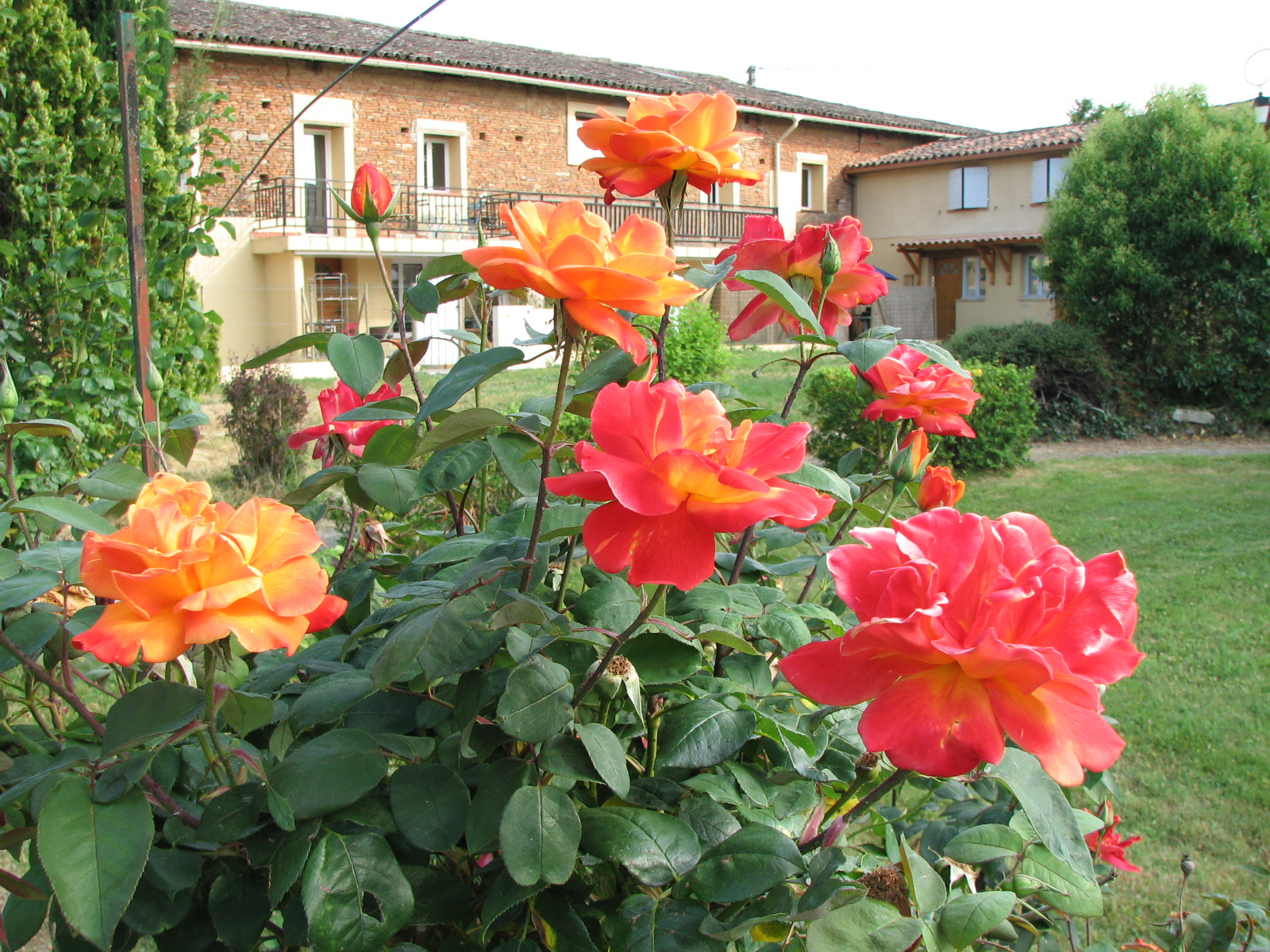 St cezert, 31330, 2 Chambres Chambres, 3 Chambres Chambres,1 Salle de bainsSalle de bain,Maison,A vendre,1001