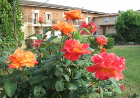 St cezert, 31330, 2 Chambres Chambres, 3 Chambres Chambres,1 Salle de bainsSalle de bain,Maison,A vendre,1001